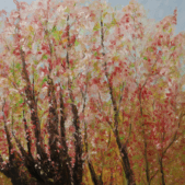 Zrzut ekranu 2025-04-8 o 10.30.57